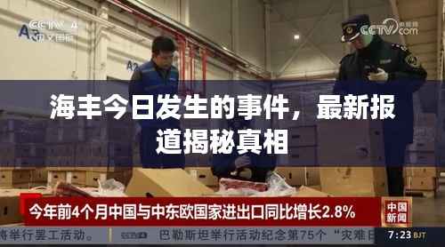 海丰今日发生的事件,最新报道揭秘真相