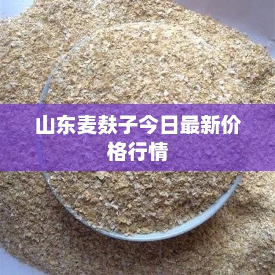 造价咨询 第98页