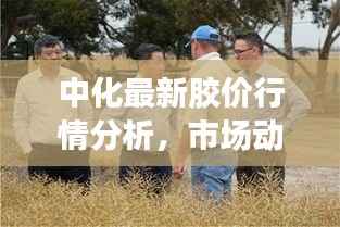 中化最新胶价行情分析,市场动态与未来展望速递