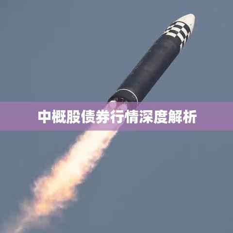 中概股债券行情深度解析