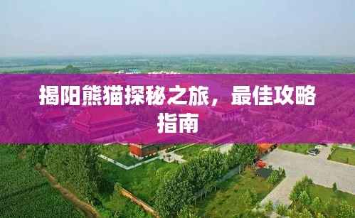揭阳熊猫探秘之旅,最佳攻略指南