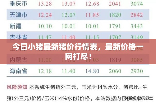 今日小猪最新猪价行情表,最新价格一网打尽!
