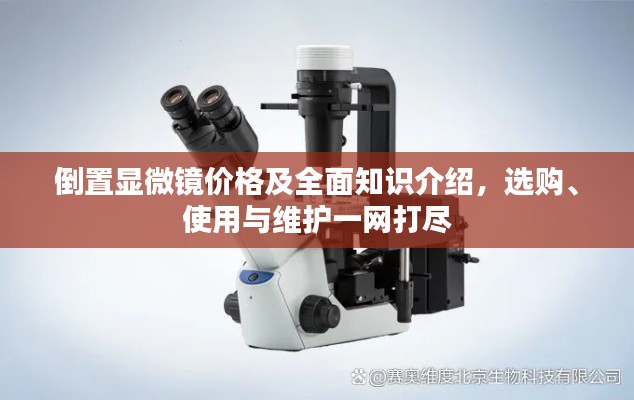 如鸟兽散 第2页