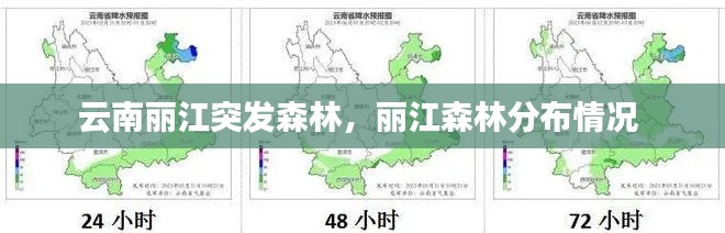 云南丽江突发森林,丽江森林分布情况
