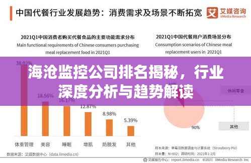 海沧监控公司排名揭秘,行业深度分析与趋势解读