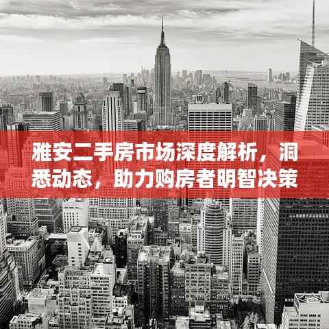 雅安二手房市场深度解析,洞悉动态,助力购房者明智决策