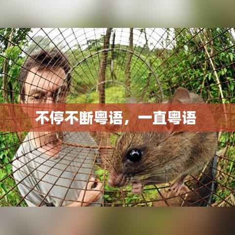 不停不断粤语,一直粤语