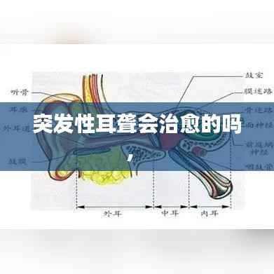突发性耳聋会治愈的吗,