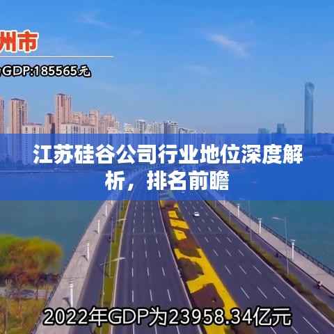 江苏硅谷公司行业地位深度解析,排名前瞻