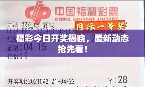 福彩今日开奖揭晓，最新动态抢先看！