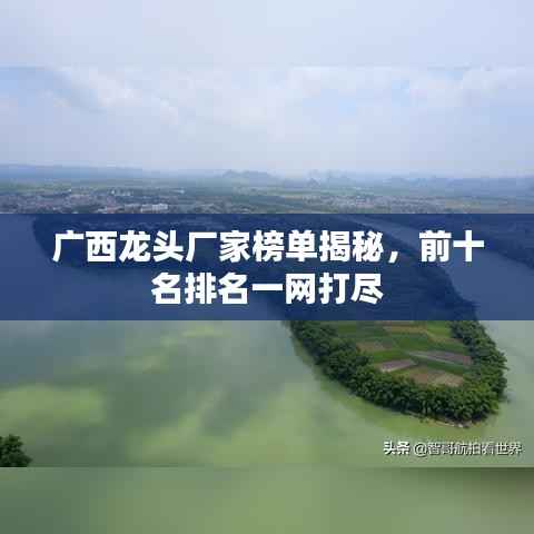 广西龙头厂家榜单揭秘，前十名排名一网打尽