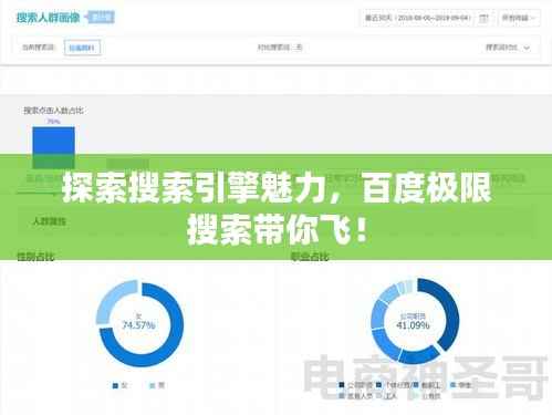 探索搜索引擎魅力,百度极限搜索带你飞!