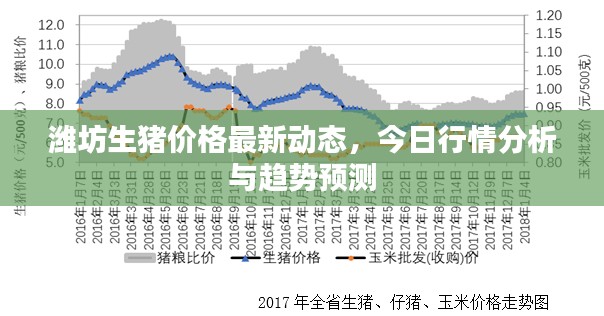 潍坊生猪价格最新动态,今日行情分析与趋势预测